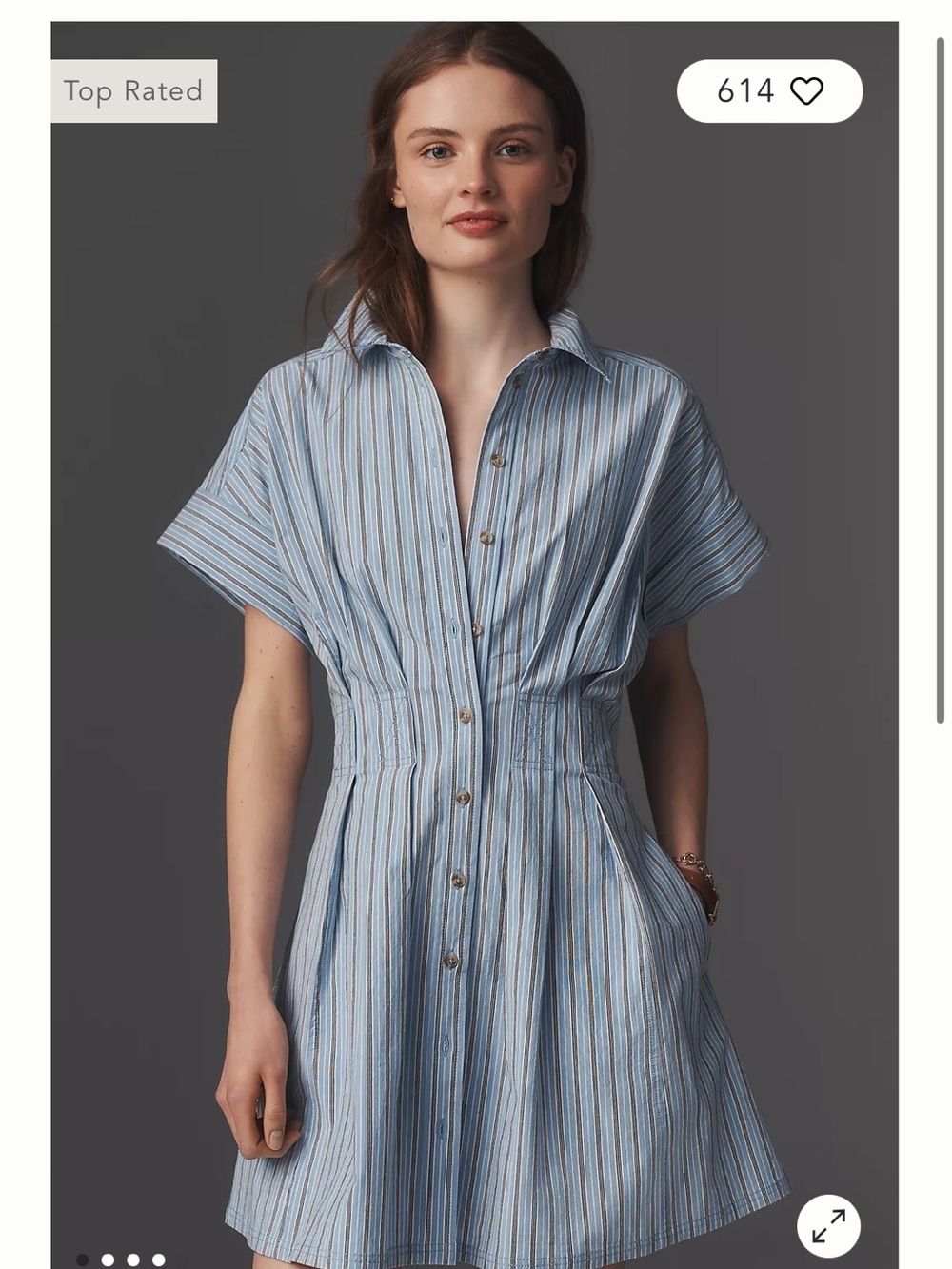 NWT Anthropologie blue striped dress
